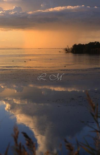 La m�moire du temps